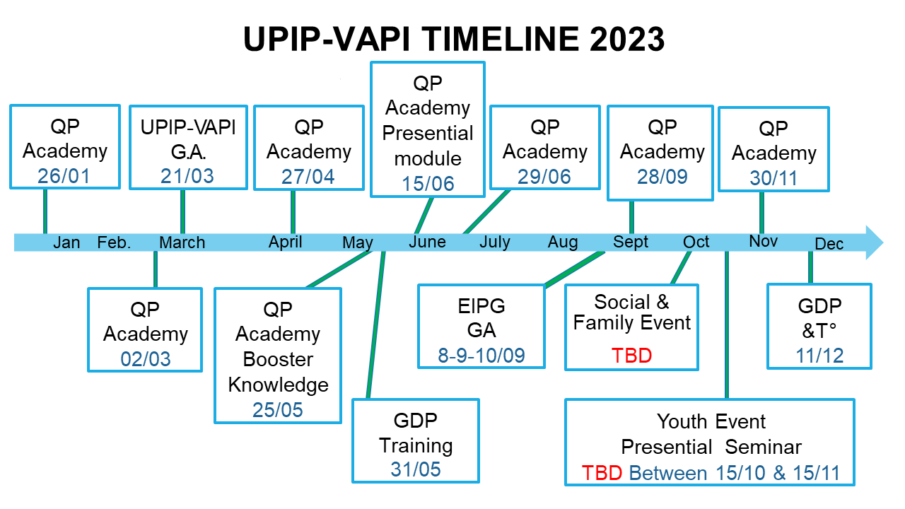 TIMELINE 2023 UPIPVAPI WEB 2